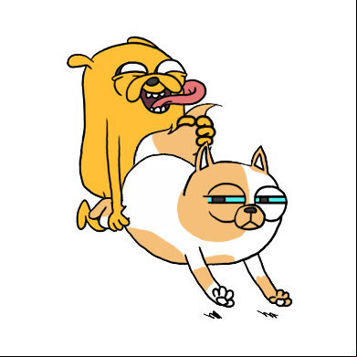 Cake The Cat In Heat Porn Rule Adventure Time Cake The Cat Jake The Dog