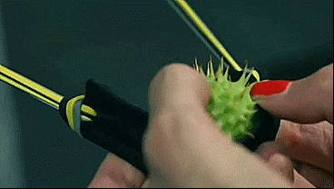 Funny Weird Gifs Archives Porn Gifs Land 1